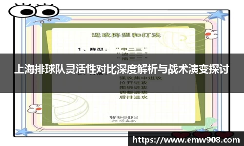 上海排球队灵活性对比深度解析与战术演变探讨